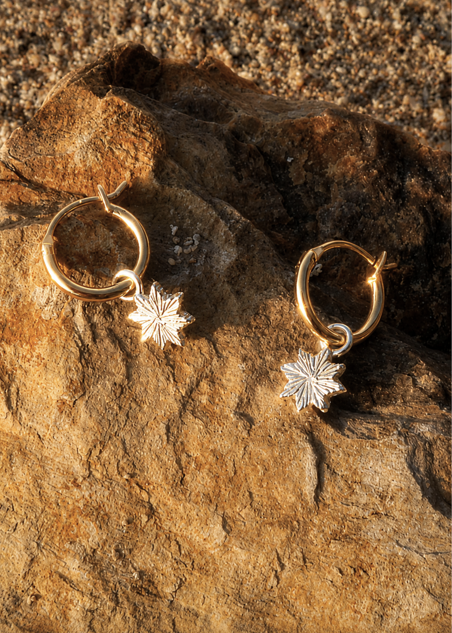 Astra Earrings / gold