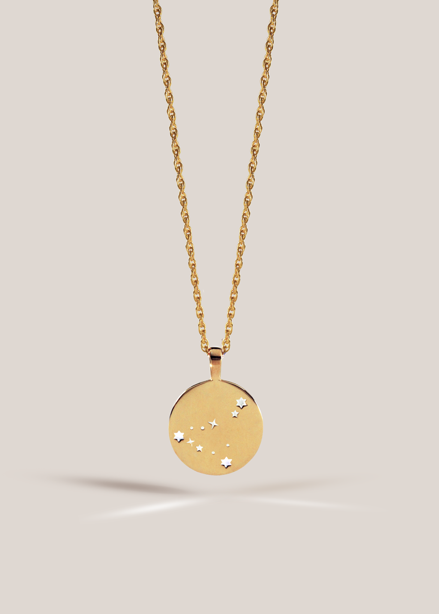 Zodiac Necklace / capricorn