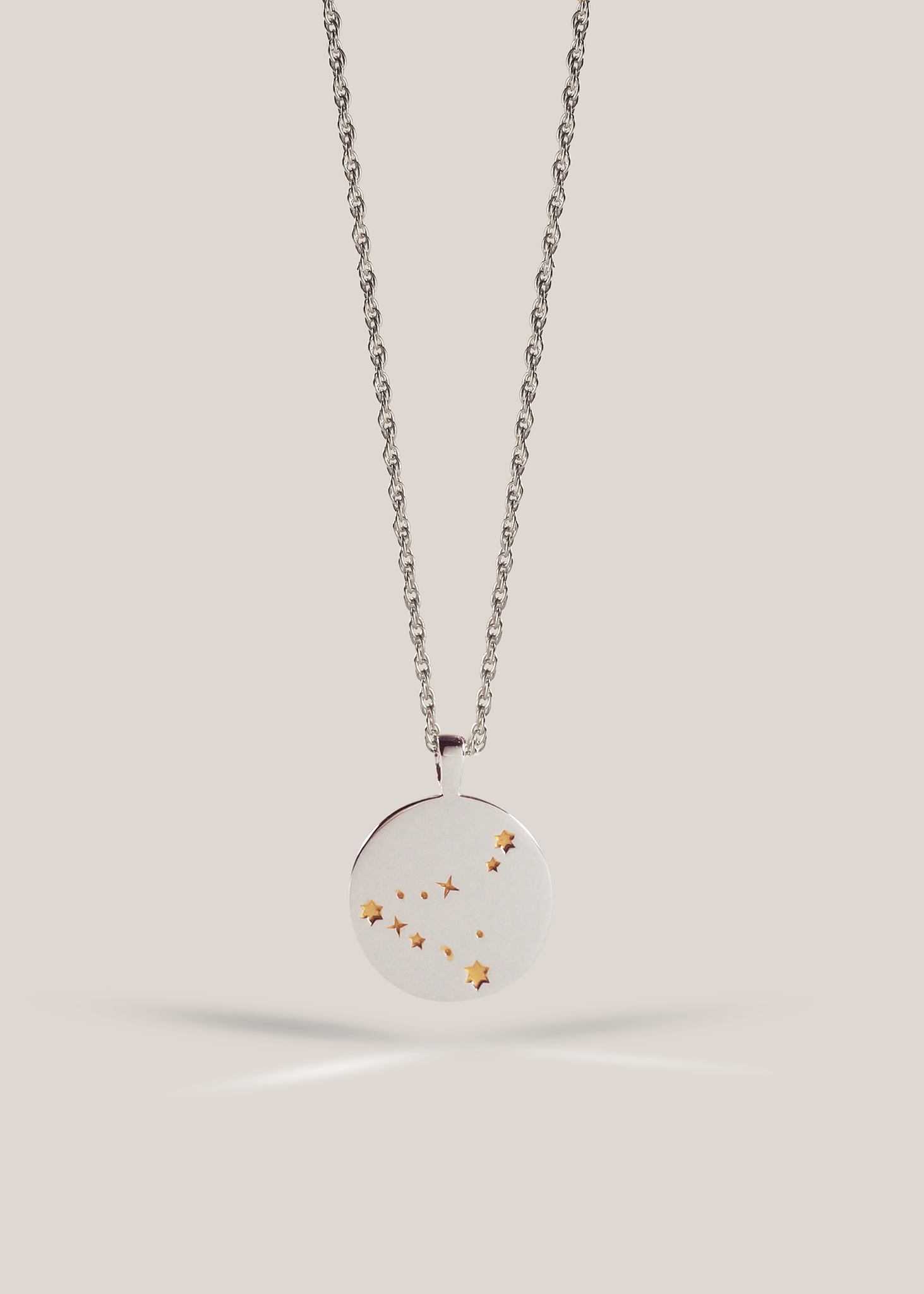 Zodiac Necklace / capricorn