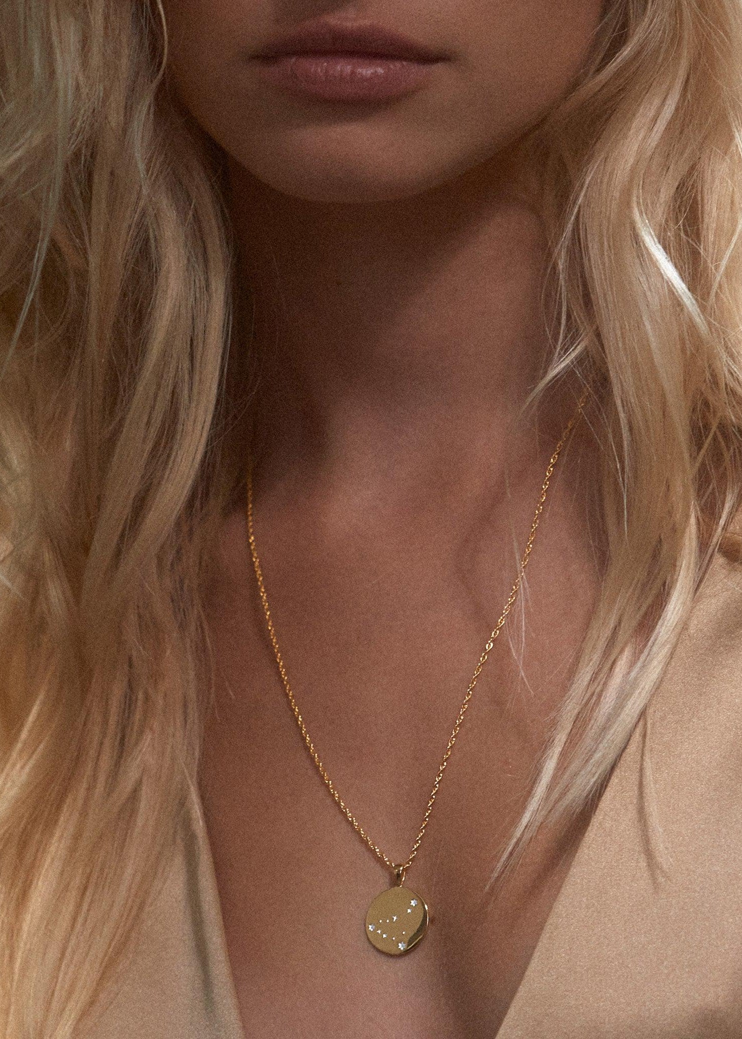 Zodiac Necklace / capricorn