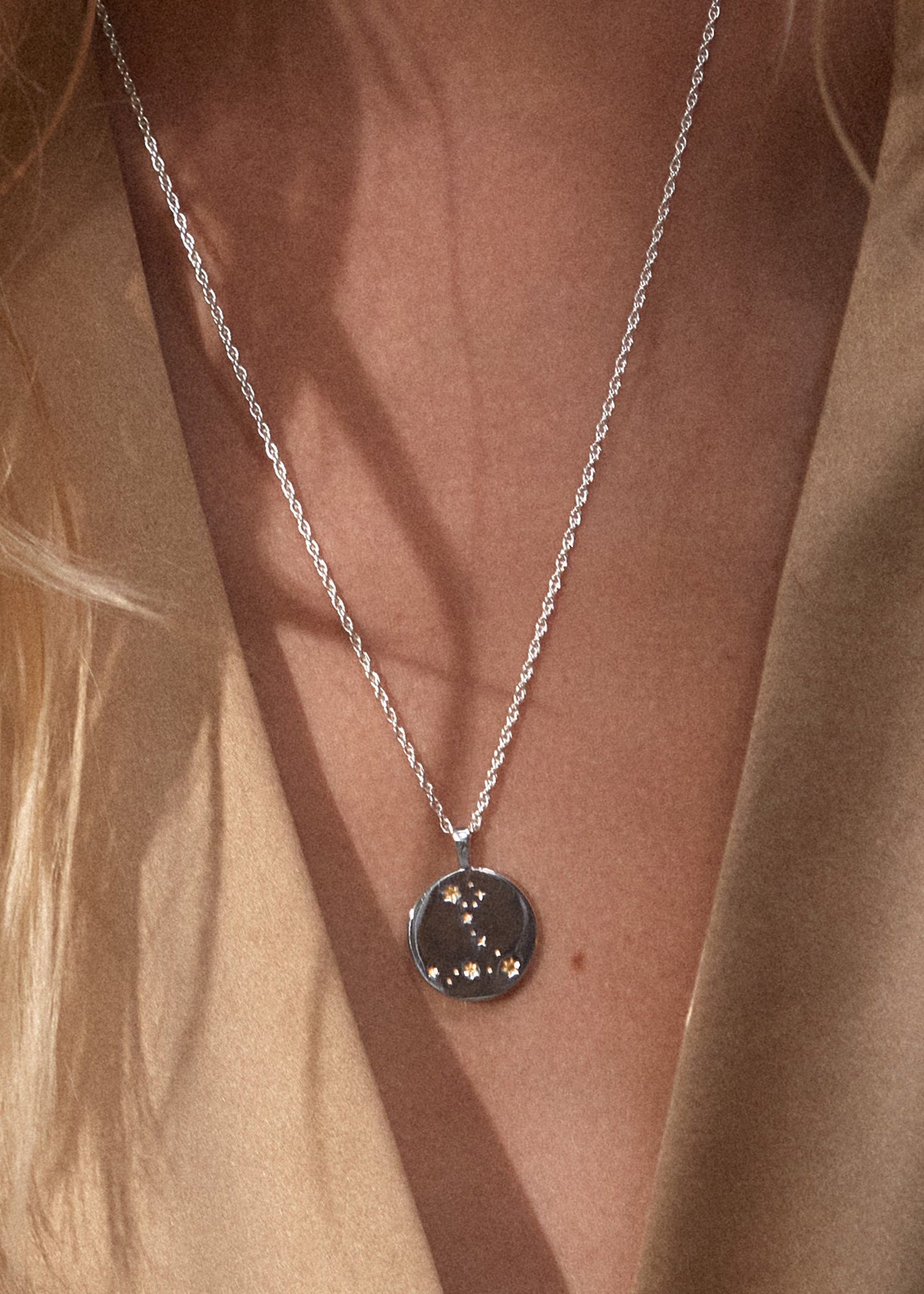 Zodiac Necklace / pisces