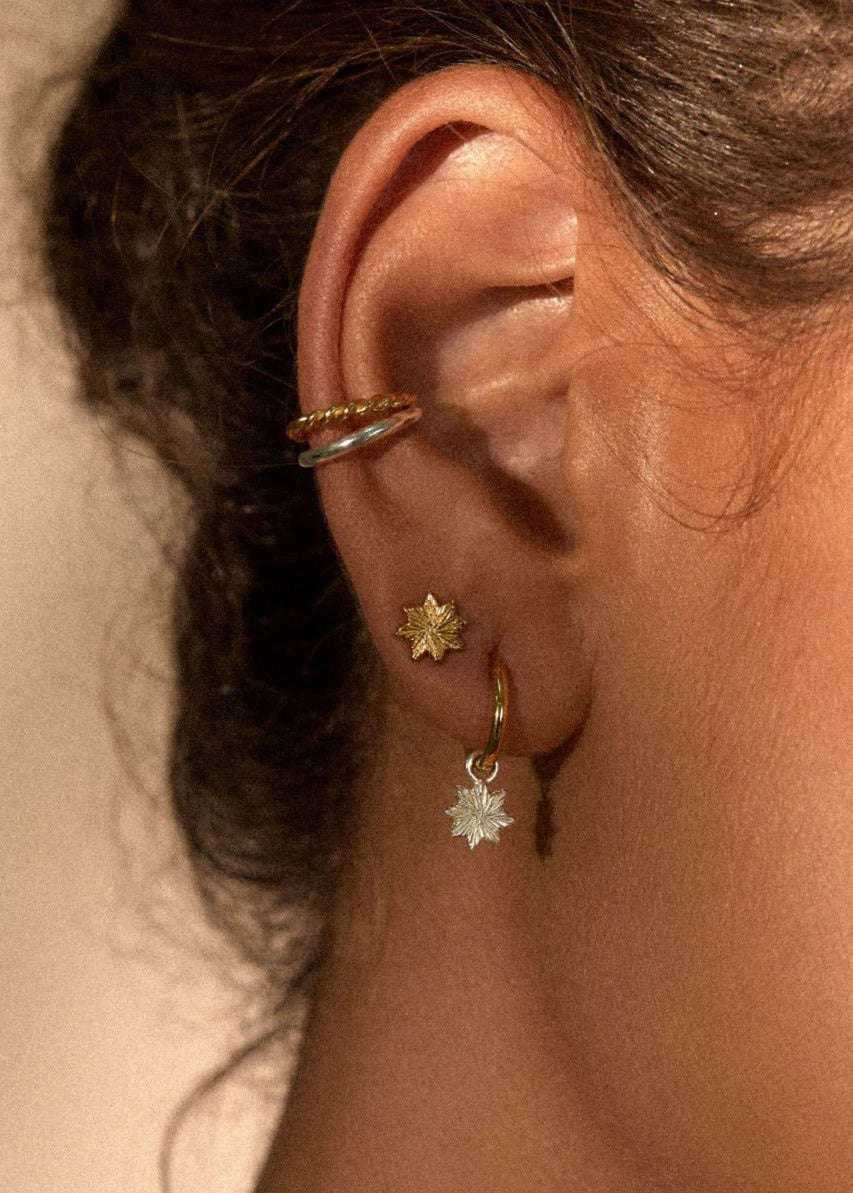 Astra Earrings / gold