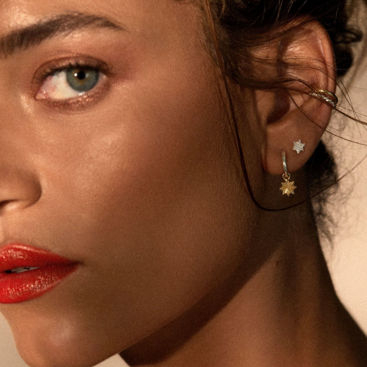 Astra Earrings / silver