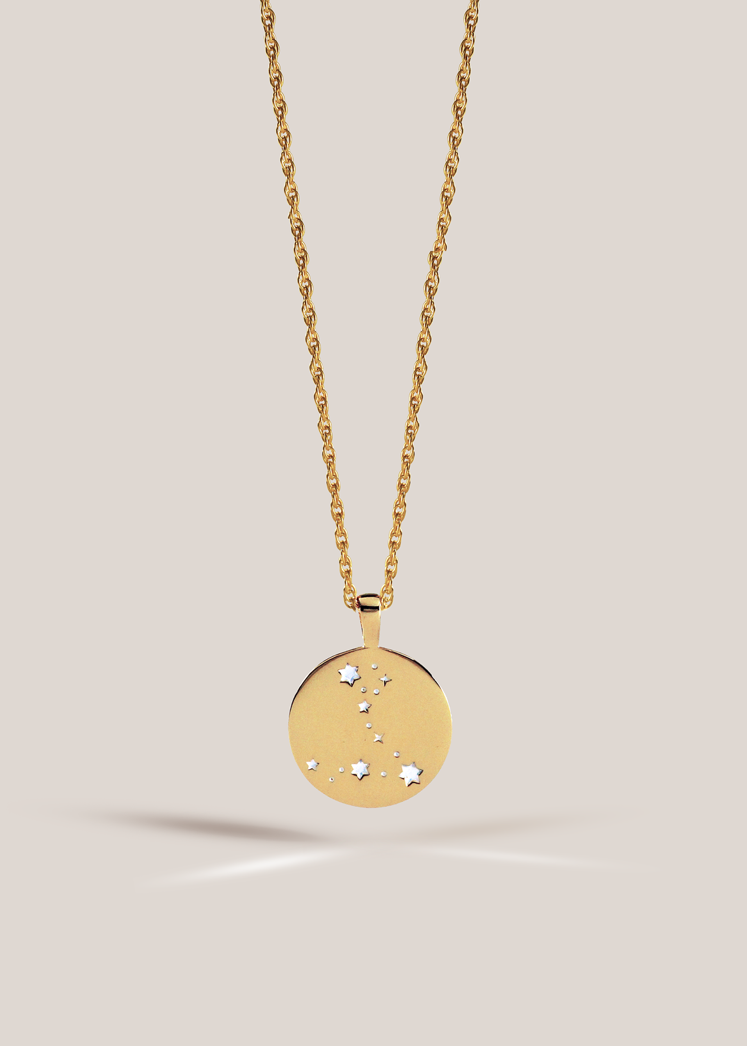 Zodiac Necklace / pisces