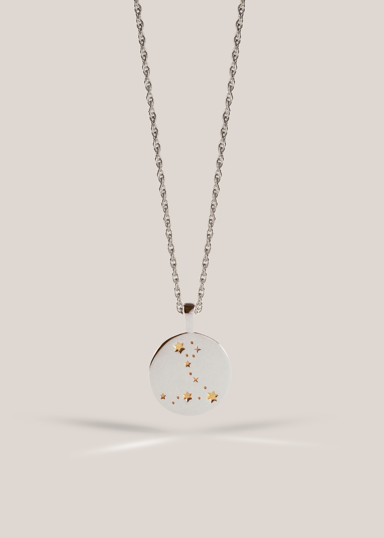 Zodiac Necklace / pisces