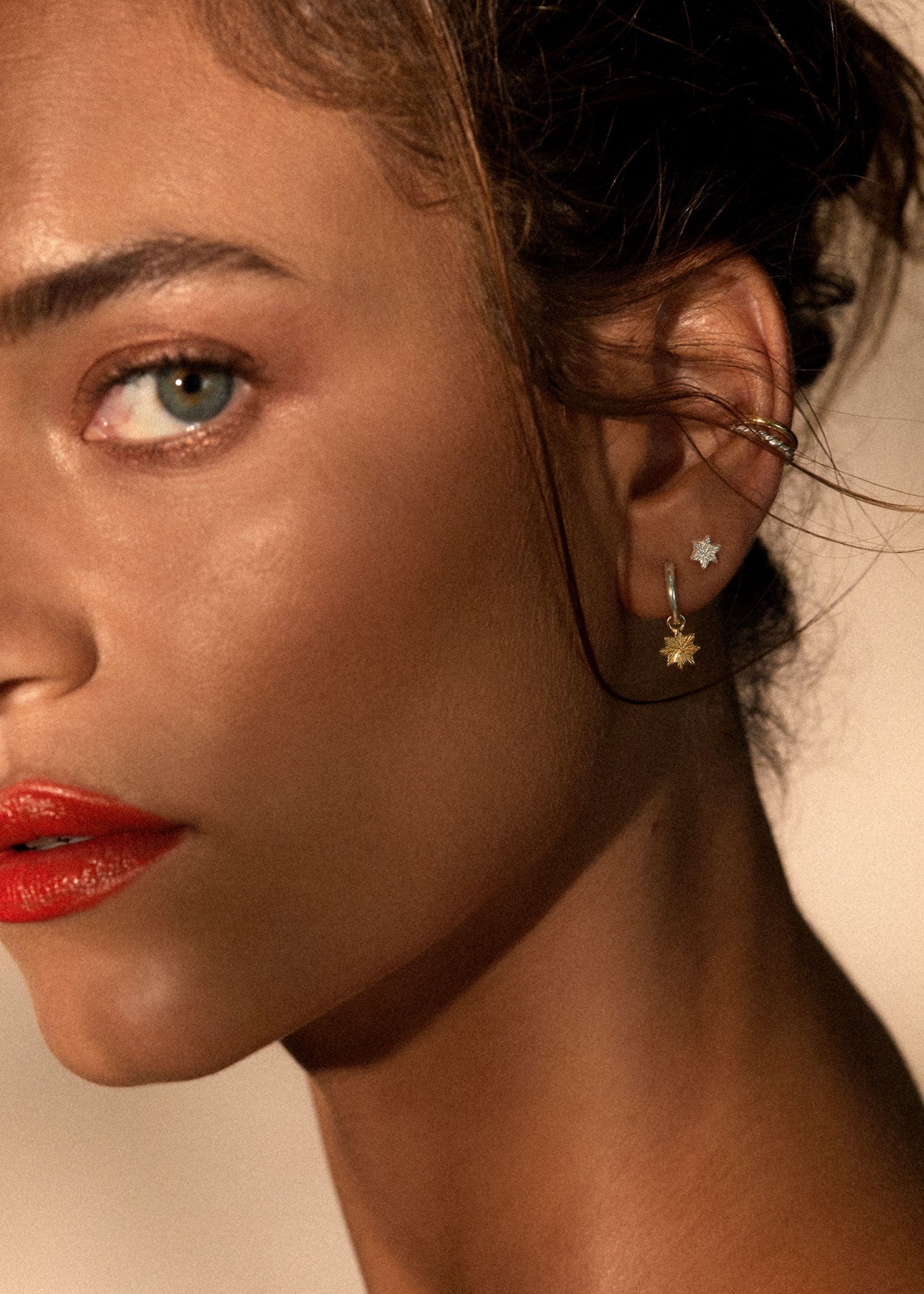 Astra Earrings / silver
