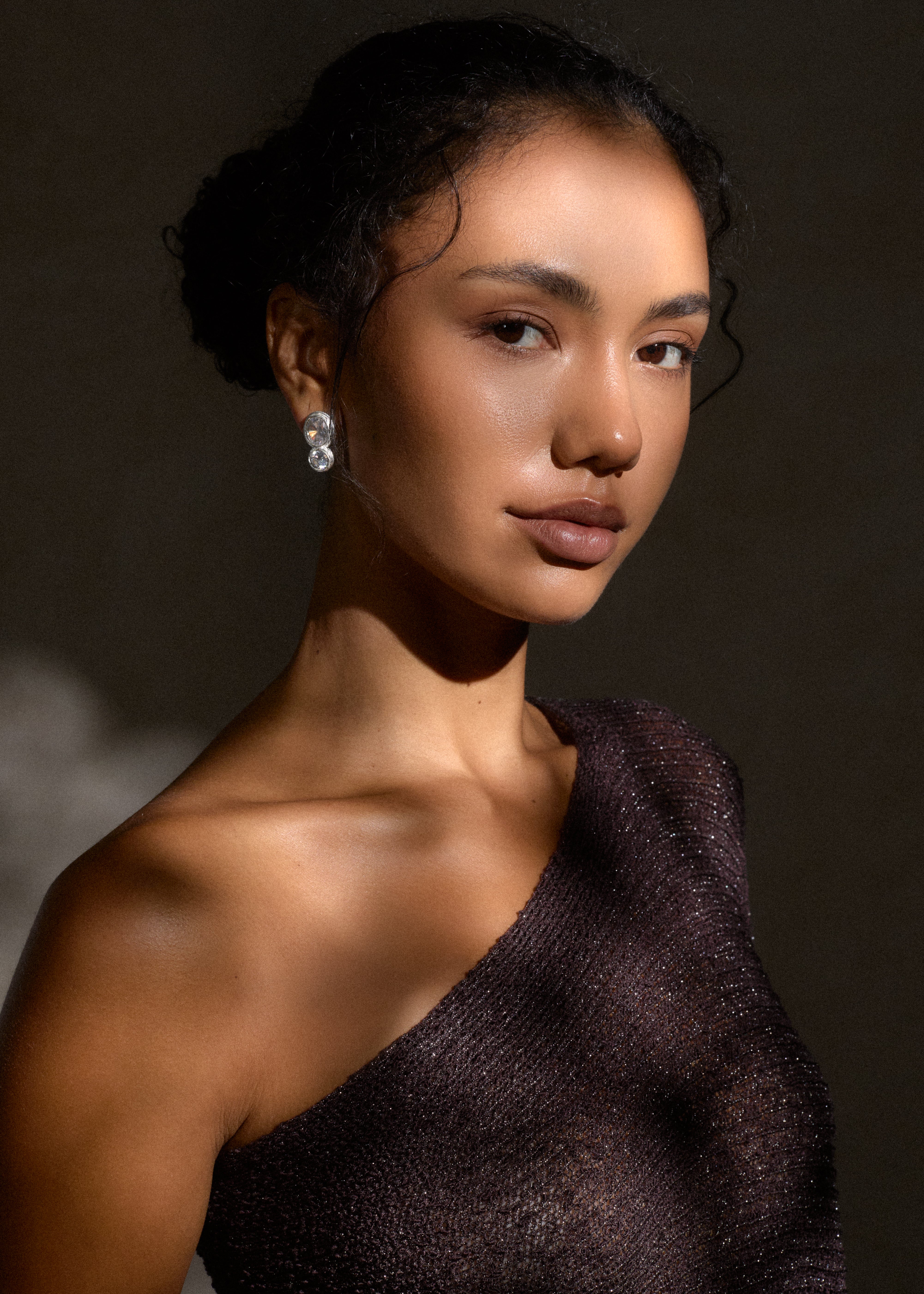 Echo Earrings / silver