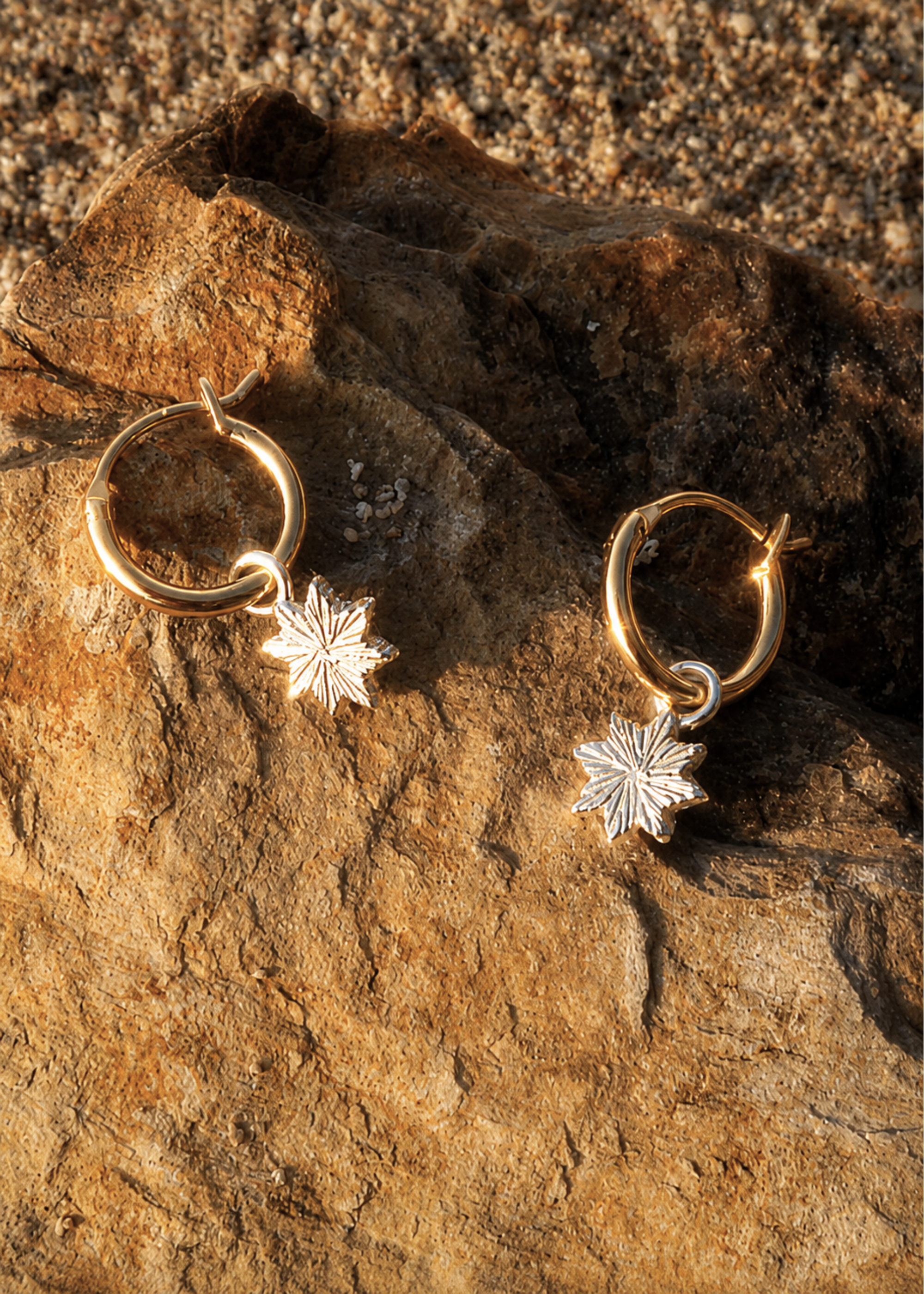 Astra Earrings / gold