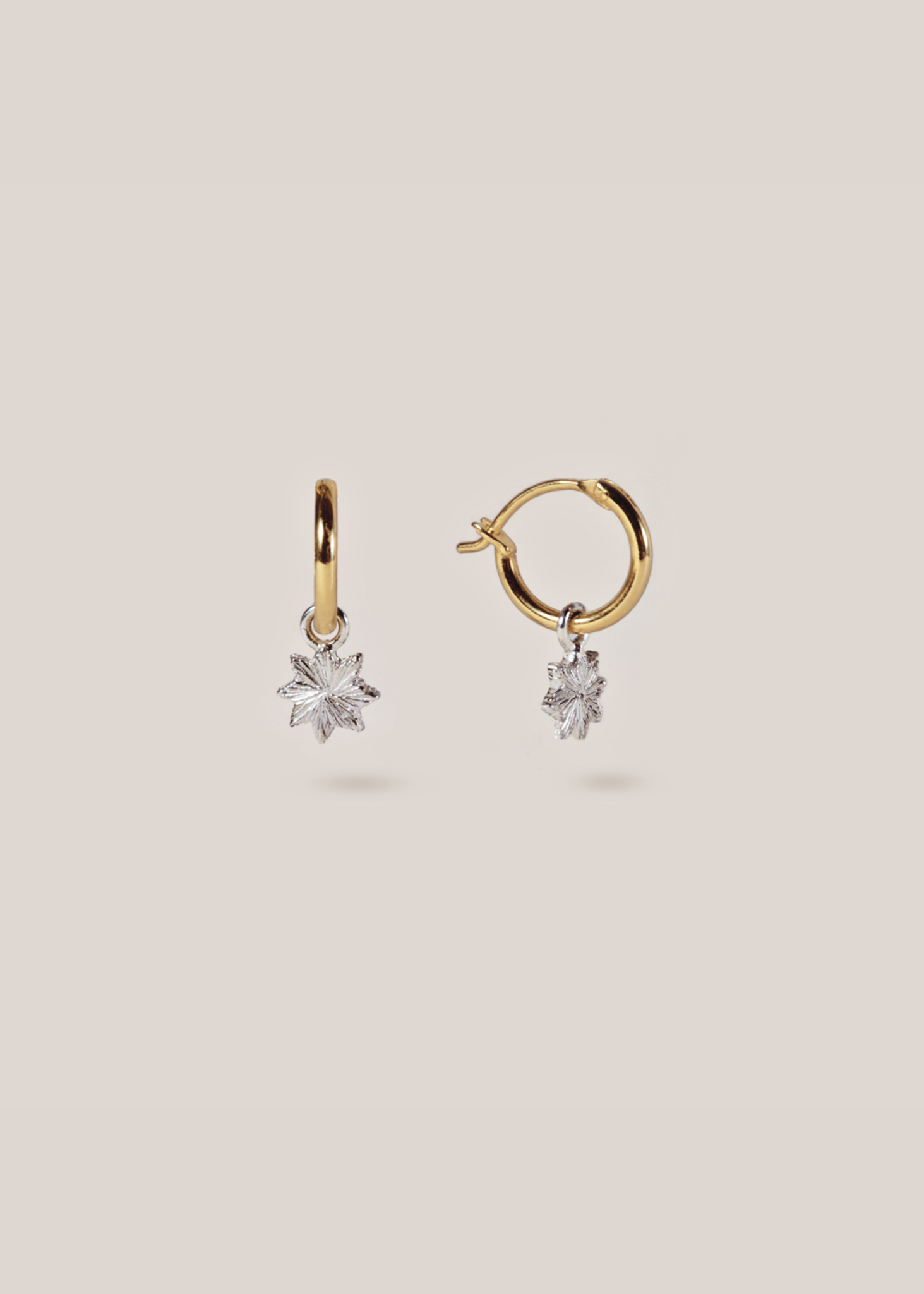 Astra Earrings / gold