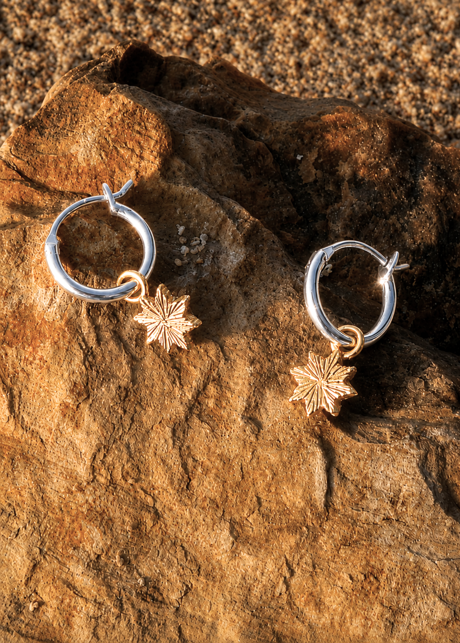 Astra Earrings / silver