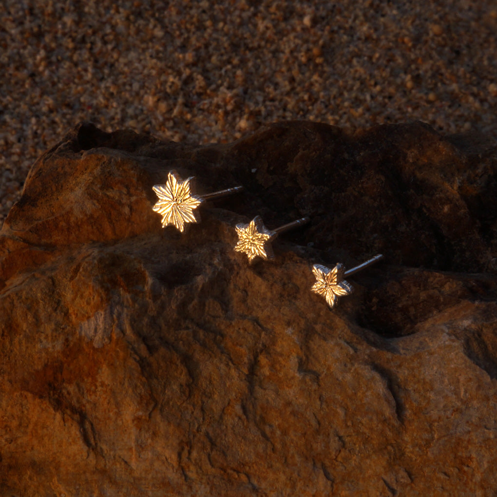 Polaris Studs Set / gold