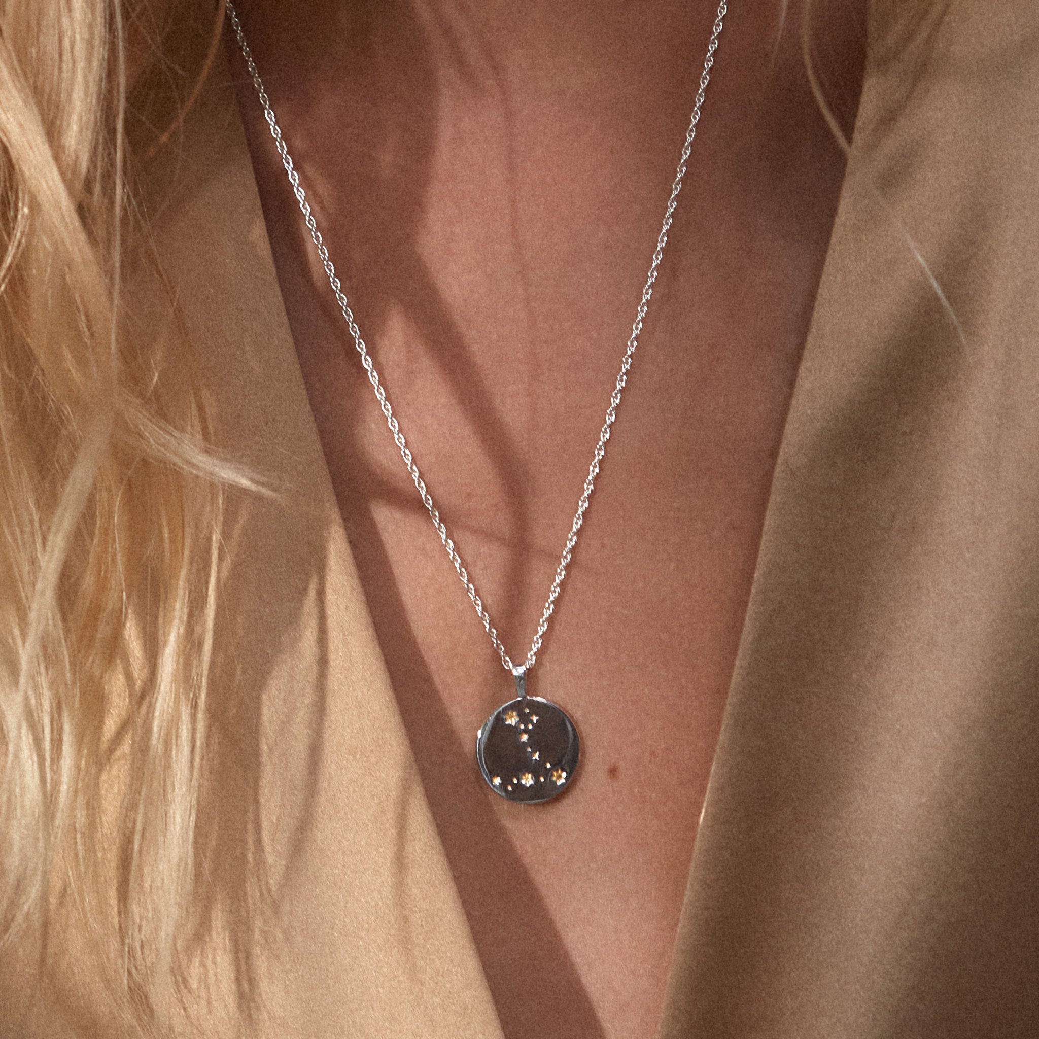 Zodiac Necklace / pisces