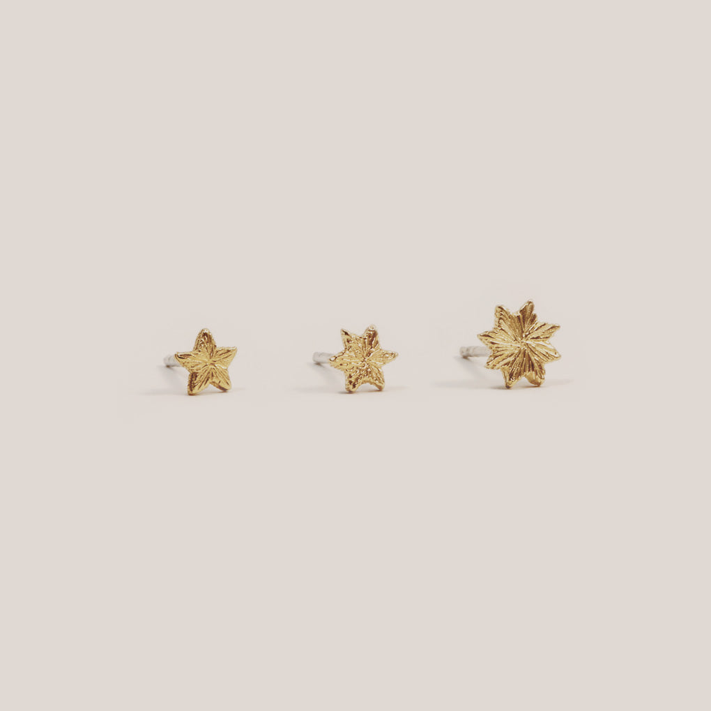 Polaris Studs Set / gold