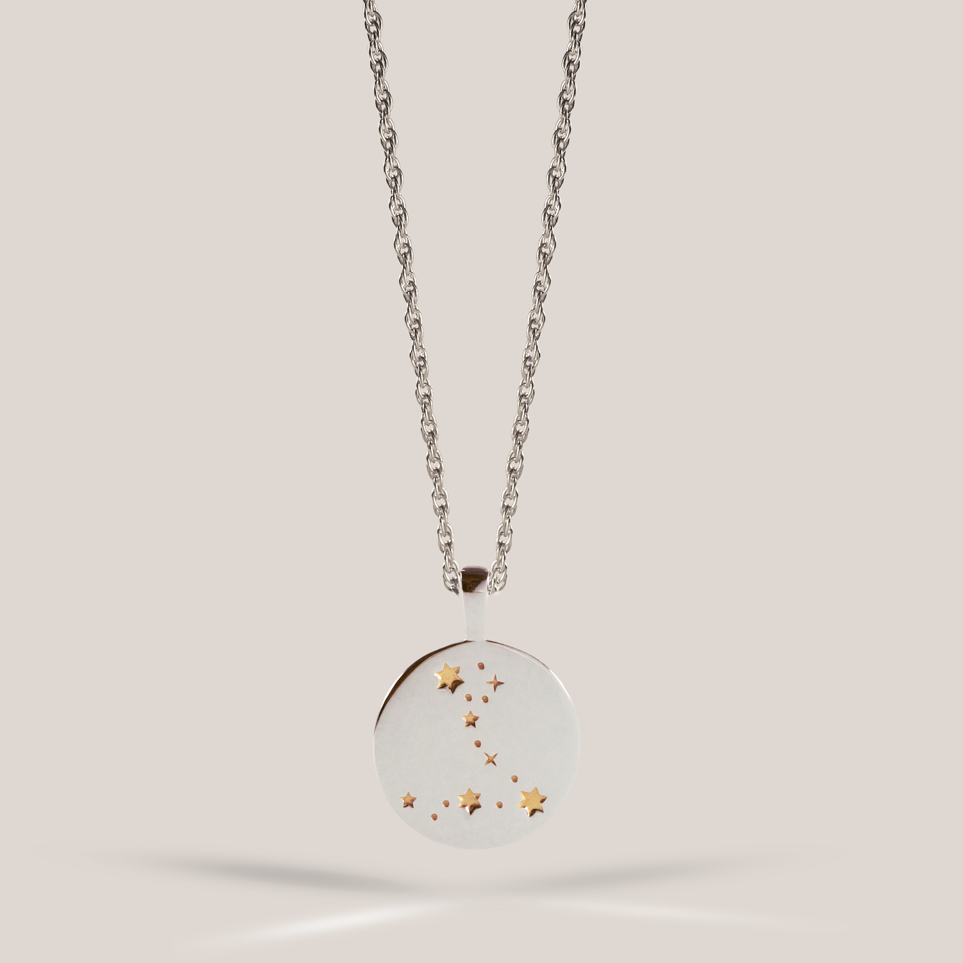 Zodiac Necklace / pisces
